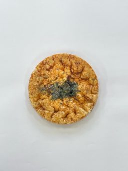 1379小魚ぽんせん｜食品部｜健康フーズ株式会社｜自然食品・ぬか玄